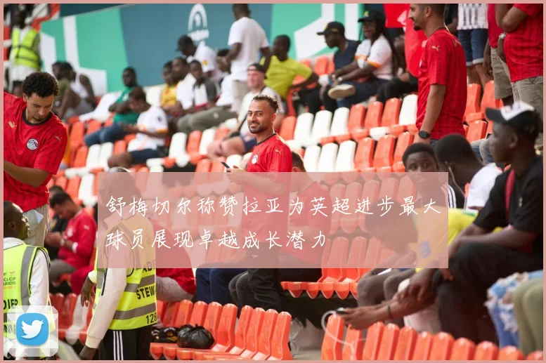 舒梅切尔称赞拉亚为英超进步最大球员展现卓越成长潜力