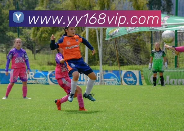 元游棋牌APP 高清赛事图